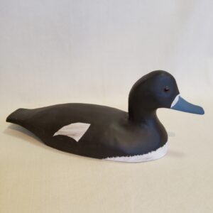 Peter Wakely bluebill duck 4