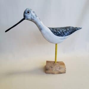 Peter Wakely Yellowlegs bird 3